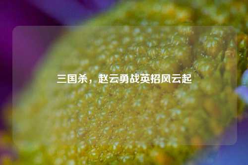 三国杀,赵云勇战英招风云起