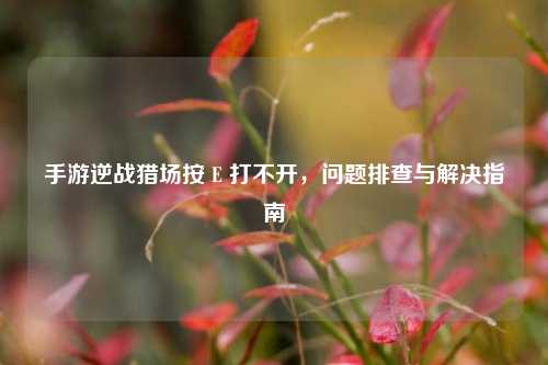 手游逆战猎场按 E 打不开,问题排查与解决指南