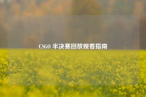 CSGO 半决赛回放观看指南