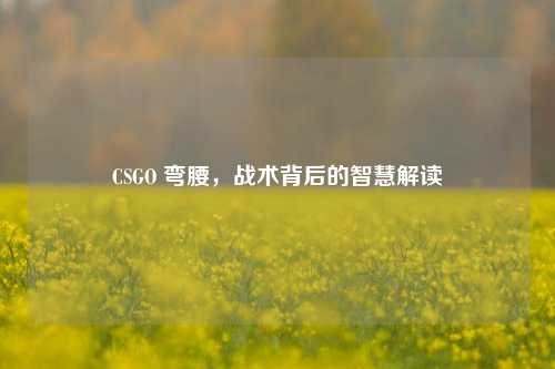 CSGO 弯腰,战术背后的智慧解读