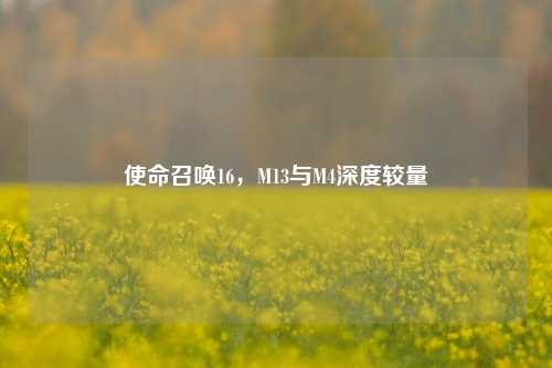 使命召唤16,M13与M4深度较量