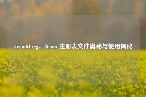 steam64.reg,Steam 注册表文件奥秘与使用揭秘