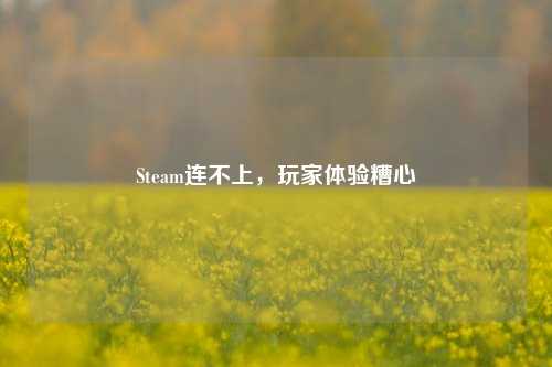 Steam连不上,玩家体验糟心