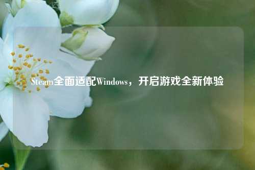 Steam全面适配Windows,开启游戏全新体验