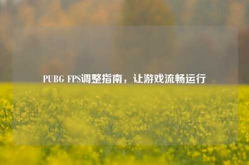 PUBG FPS调整指南,让游戏流畅运行