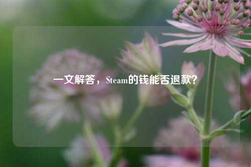 一文解答,Steam的钱能否退款?