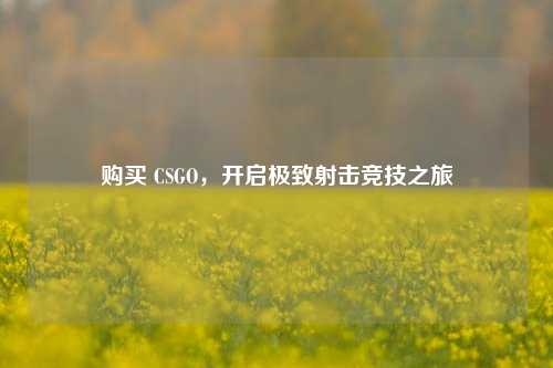 购买 CSGO,开启极致射击竞技之旅
