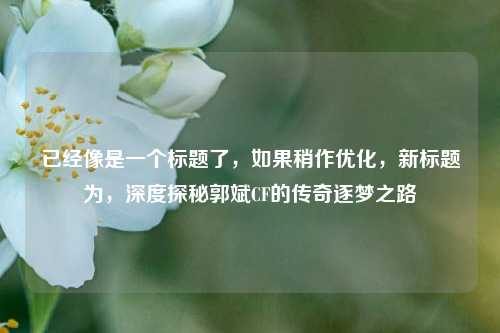 已经像是一个标题了,如果稍作优化,新标题为,深度探秘郭斌CF的传奇逐梦之路