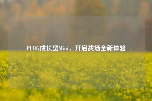 PUBG成长型Mini,开启战场全新体验
