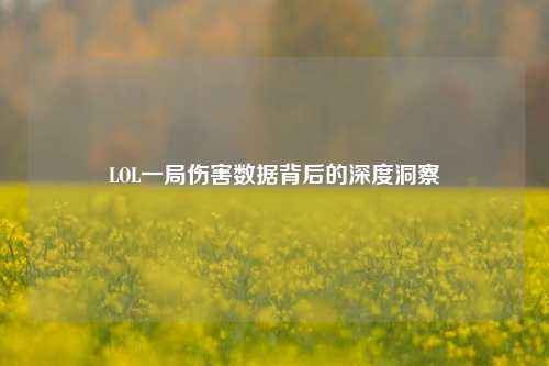 LOL一局伤害数据背后的深度洞察