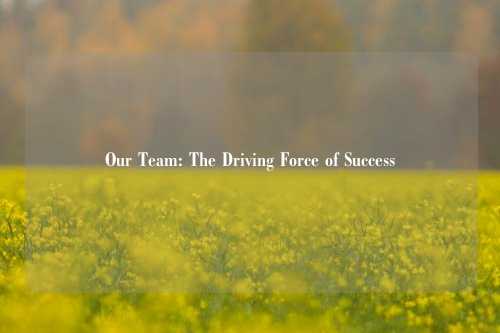 Our Team: The Driving Force of Success