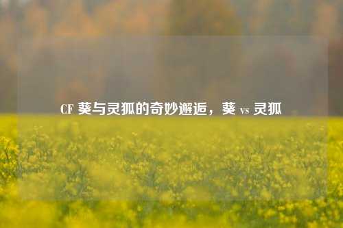 CF 葵与灵狐的奇妙邂逅,葵 vs 灵狐