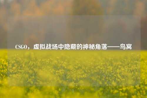 CSGO,虚拟战场中隐藏的神秘角落——鸟窝