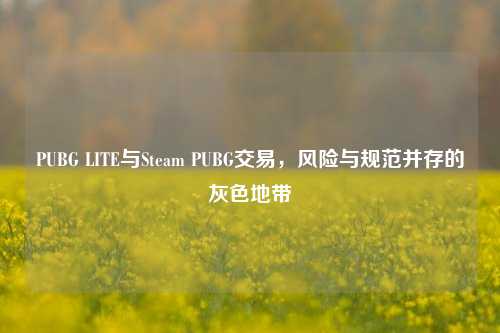PUBG LITE与Steam PUBG交易,风险与规范并存的灰色地带