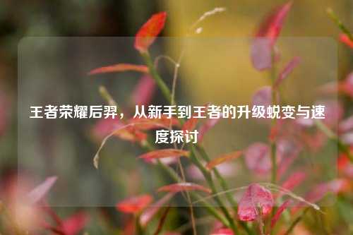 王者荣耀后羿,从新手到王者的升级蜕变与速度探讨