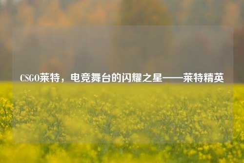 CSGO莱特,电竞舞台的闪耀之星——莱特精英