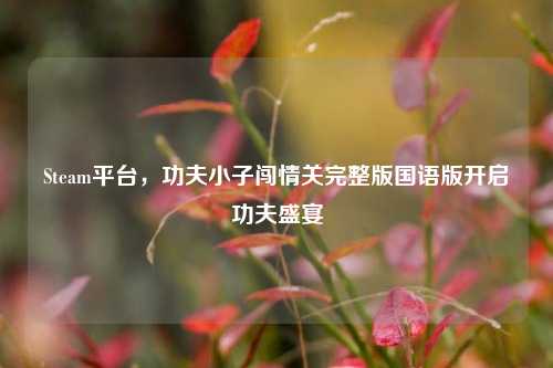 Steam平台,功夫小子闯情关完整版国语版开启功夫盛宴