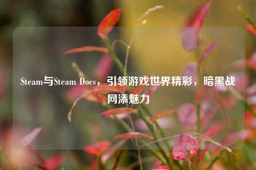 Steam与Steam Docs,引领游戏世界精彩,暗黑战网添魅力