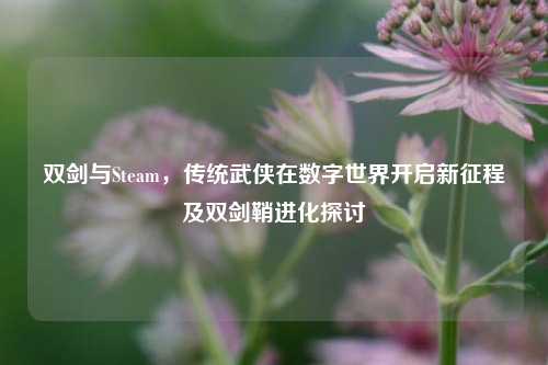 双剑与Steam,传统武侠在数字世界开启新征程及双剑鞘进化探讨