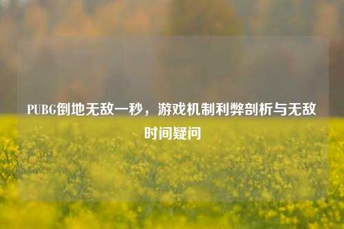 PUBG倒地无敌一秒,游戏机制利弊剖析与无敌时间疑问