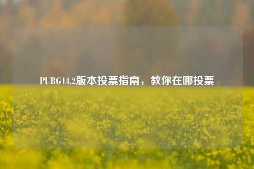 PUBG14.2版本投票指南,教你在哪投票