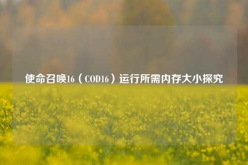 使命召唤16(COD16)运行所需内存大小探究