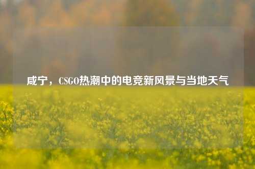 咸宁,CSGO热潮中的电竞新风景与当地天气