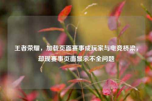 王者荣耀,加载页面赛事成玩家与电竞桥梁,却现赛事页面显示不全问题