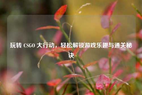 玩转 CSGO 大行动,轻松解锁游戏乐趣与通关秘诀