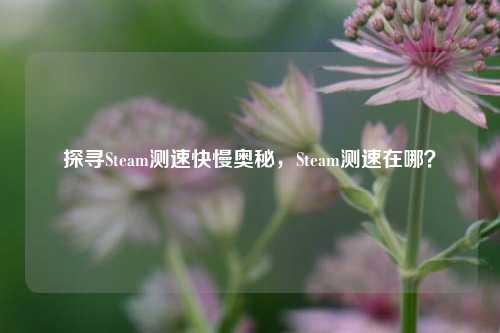 探寻Steam测速快慢奥秘,Steam测速在哪?