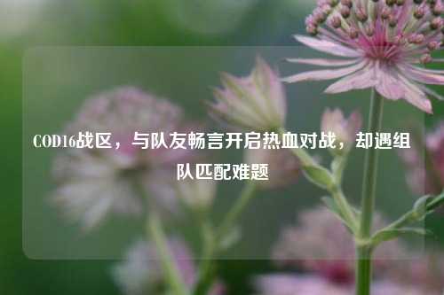COD16战区,与队友畅言开启热血对战,却遇组队匹配难题