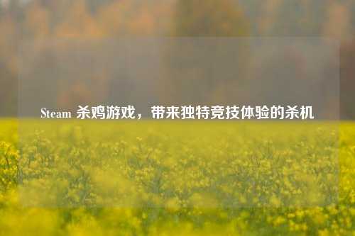 Steam 杀鸡游戏,带来独特竞技体验的杀机