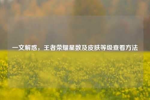 一文解惑,王者荣耀星数及皮肤等级查看