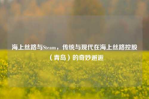 海上丝路与Steam,传统与现代在海上丝路控股(青岛)的奇妙邂逅