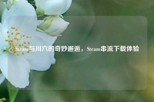 Steam与川六的奇妙邂逅,Steam串流下载体验