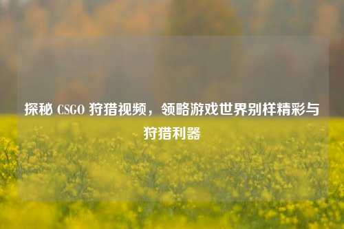 探秘 CSGO 狩猎视频,领略游戏世界别样精彩与狩猎利器