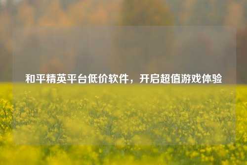 和平精英平台低价软件,开启超值游戏体验