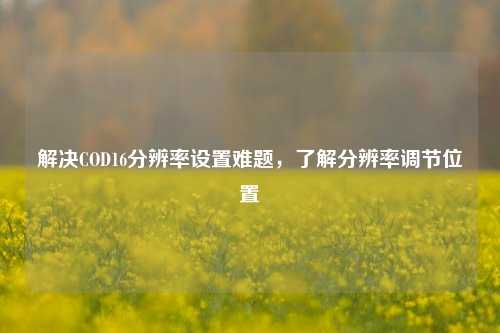 解决COD16分辨率设置难题,了解分辨率调节位置