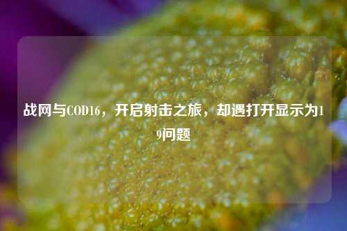 战网与COD16,开启射击之旅,却遇打开显示为19问题