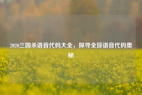 2020三国杀语音代码大全,探寻全琮语音代码奥秘