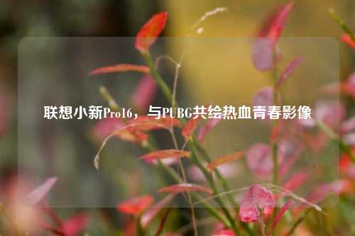联想小新Pro16,与PUBG共绘热血青春影像