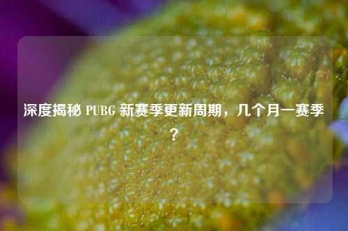 深度揭秘 PUBG 新赛季更新周期,几个月一赛季?