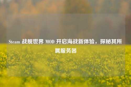 Steam 战舰世界 MOD 开启海战新体验,探秘其所属服务器