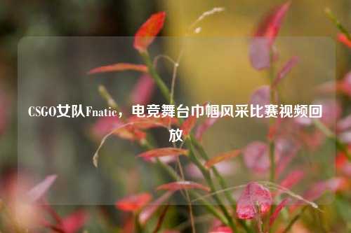 CSGO女队Fnatic,电竞舞台巾帼风采比赛视频回放
