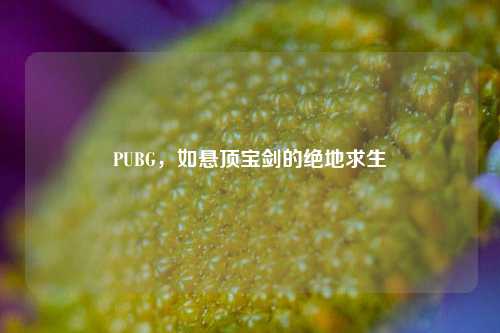 PUBG,如悬顶宝剑的绝地求生