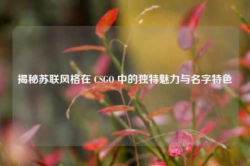 揭秘苏联风格在 CSGO 中的独特魅力与名字特色