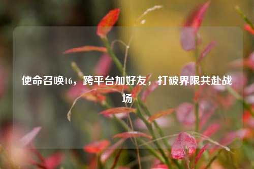 使命召唤16,跨平台加好友,打破界限共赴战场