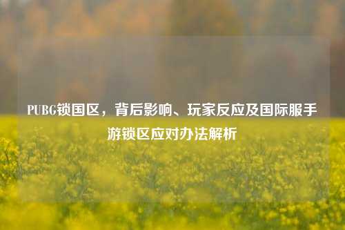 PUBG锁国区,背后影响、玩家反应及国际服手游锁区应对办法解析