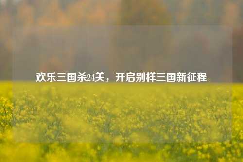 欢乐三国杀24关,开启别样三国新征程