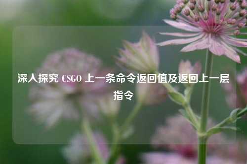 深入探究 CSGO 上一条命令返回值及返回上一层指令